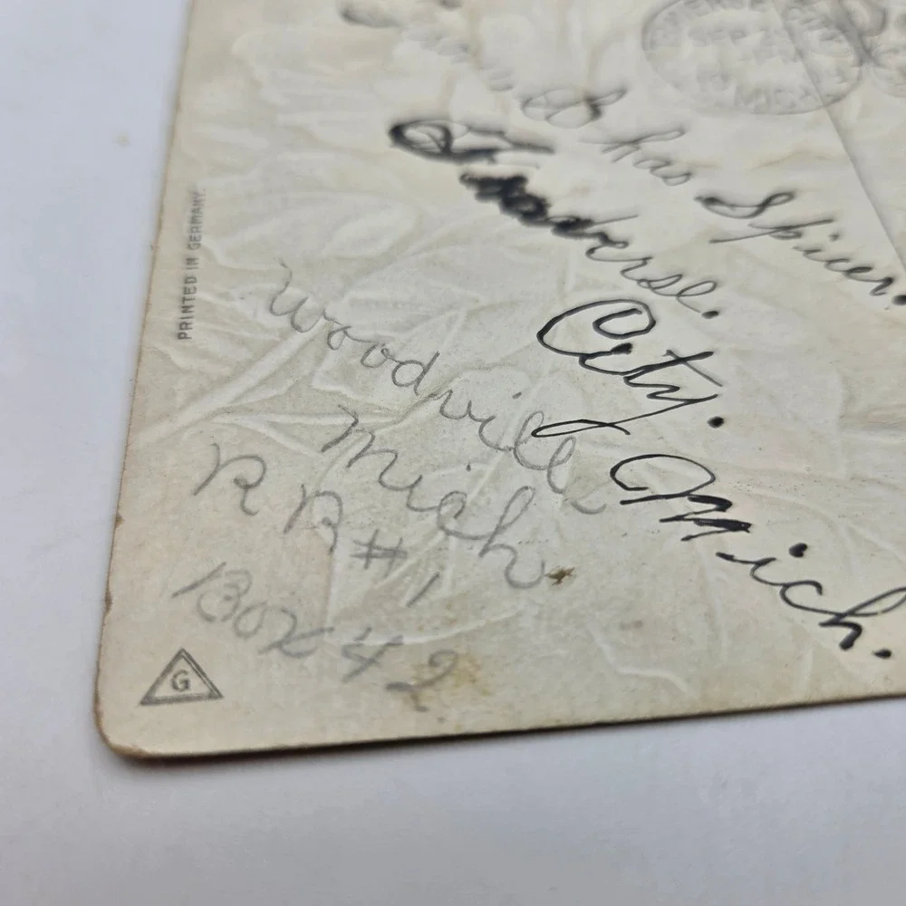 Vintage‎ 1908 Embossed Red Rose Postcard With Best Wishes Traverse City Michigan